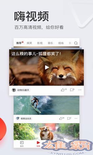 网易新闻专业版