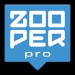 精美时钟插件(Zooper Widget Pro)