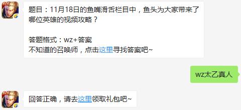 题目：11月18日的鱼嘴滑舌栏目中，鱼头为大家带来了哪位英雄的视频攻略？